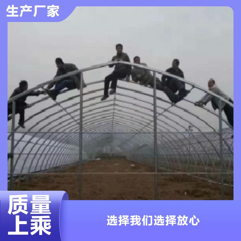 大棚管无缝钢管诚信经营现货现发附近厂家