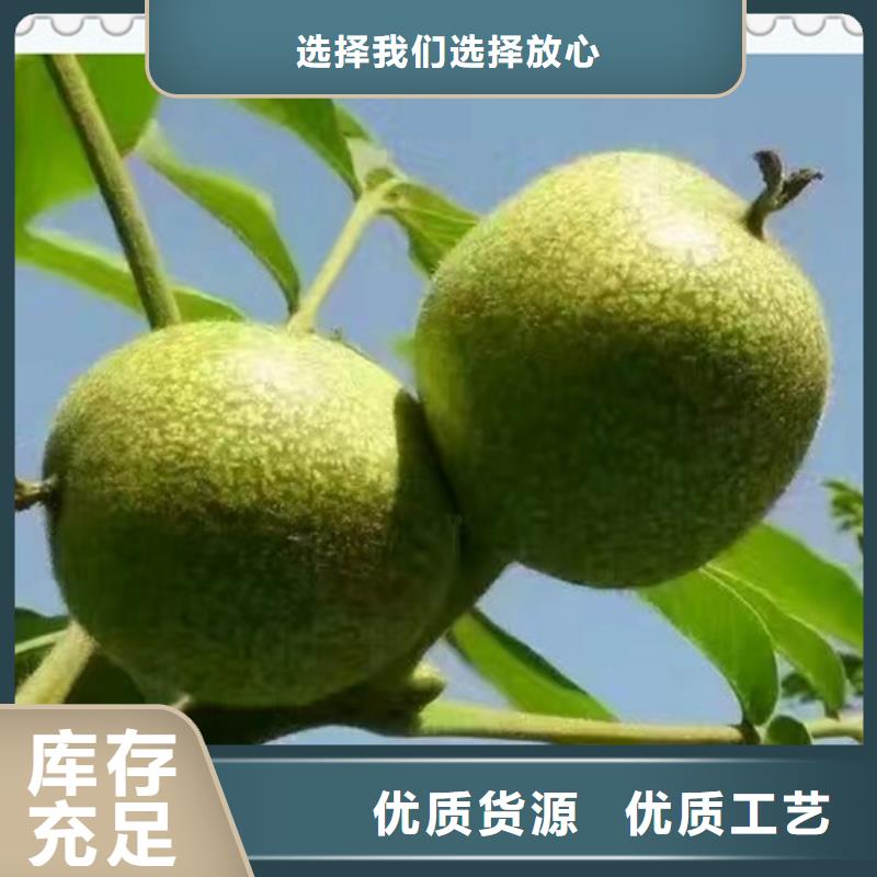 ?核桃苗蘋果苗購買的是放心同城品牌