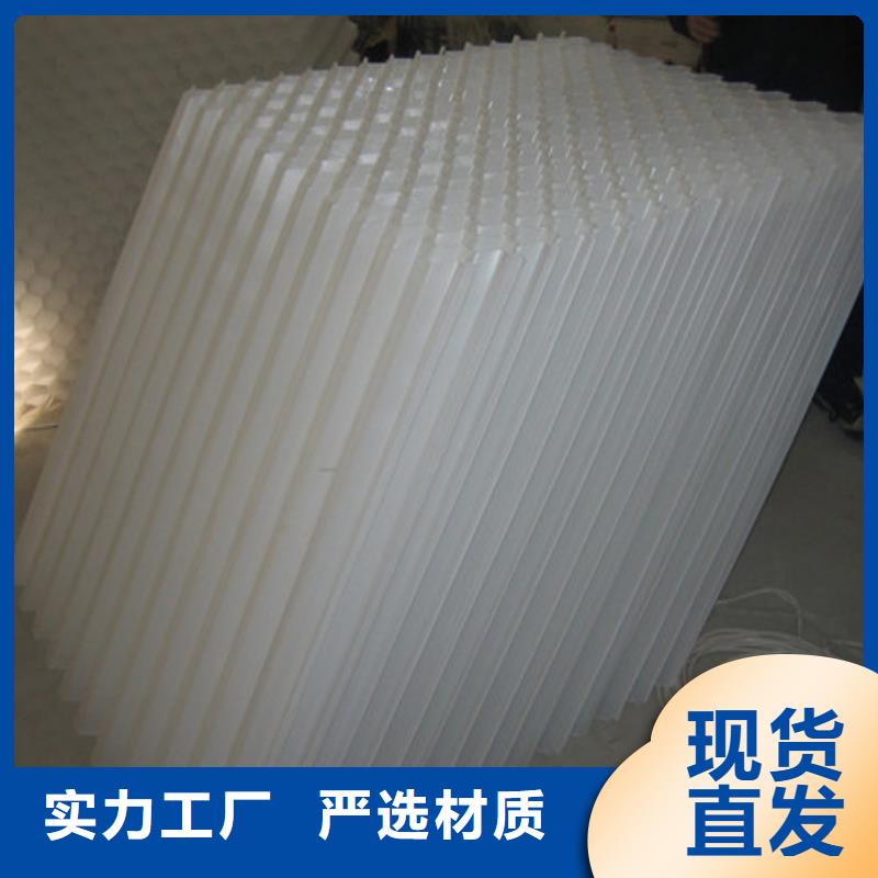 【蜂窩斜管-沸石可接急單】當地生產廠家