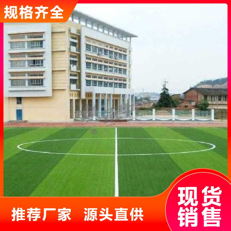 塑膠球場品質優詢問報價一手價格