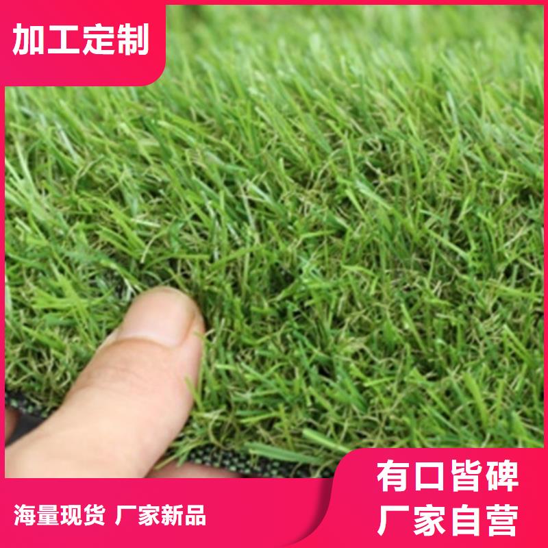 【人造草坪】塑膠跑道材料專業信賴廠家當地經銷商