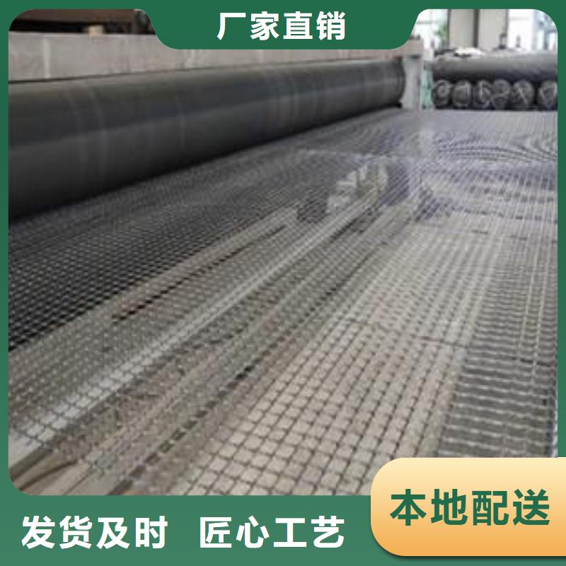 雙向塑料土工格柵土工濾網廠誠信經營本地制造商