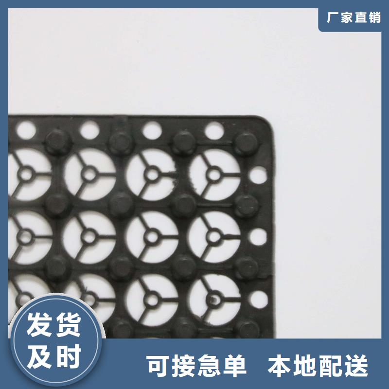 排水板雙向塑料土工格柵工廠價格當地生產商