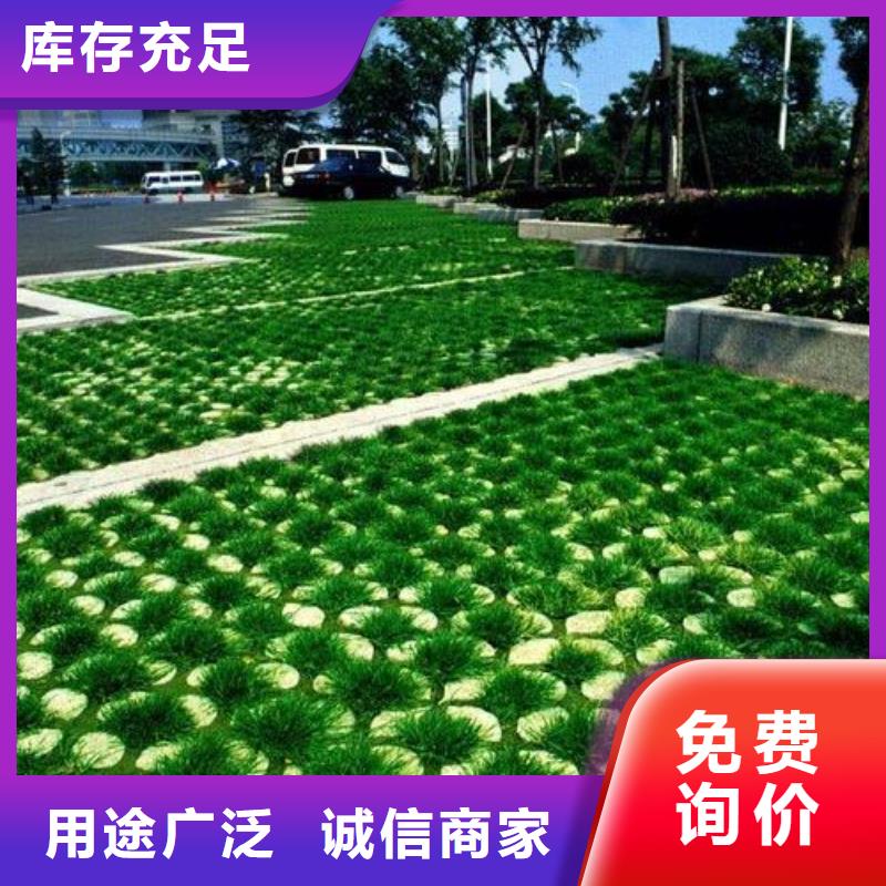 植草格【涤纶土工格栅】按需定制同城厂家