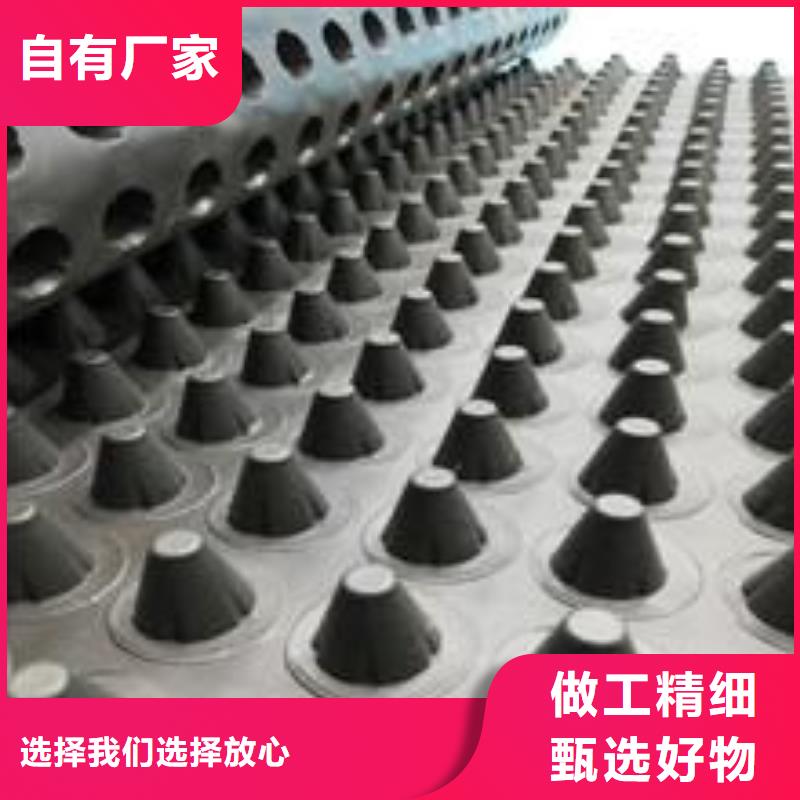 【塑料排水板】三維土工網墊一對一為您服務一站式供應廠家