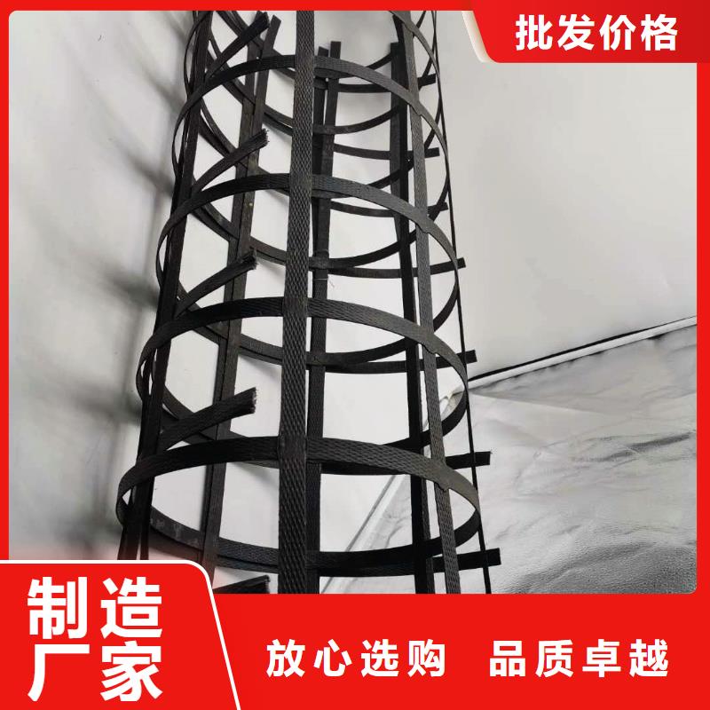 鋼塑土工格柵土工席墊實體廠家出貨及時