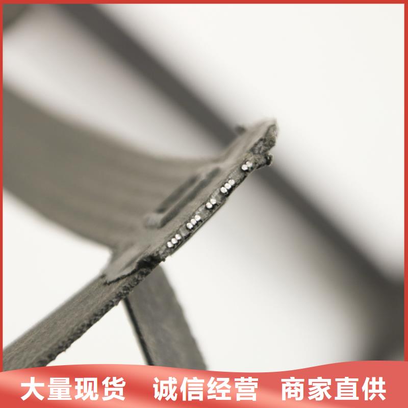 鋼塑土工格柵單向塑料土工格柵歡迎來電詢價本地廠家