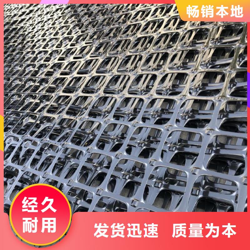 塑料土工格柵單向塑料土工格柵現貨銷售重信譽廠家