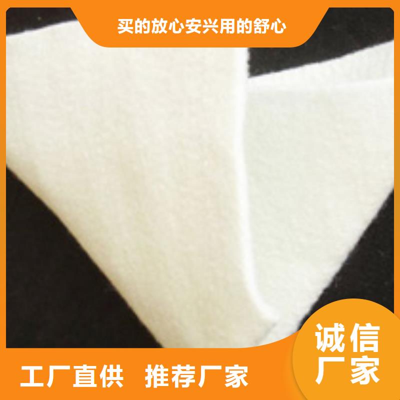 土工布雙向塑料格柵工廠采購(gòu)一手貨源源頭廠家