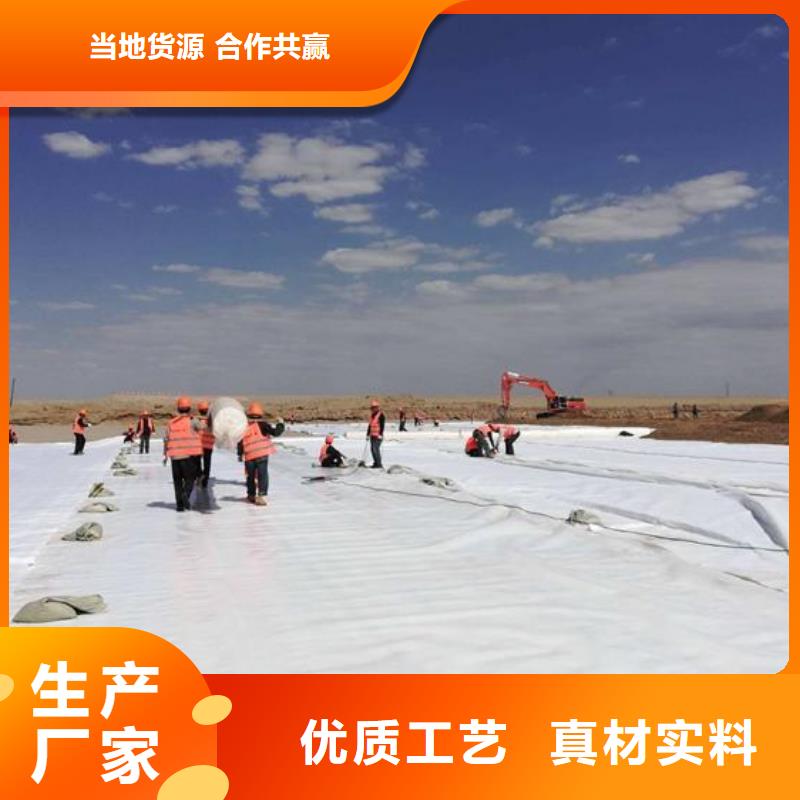 【土工布_單向塑料土工格柵老品牌廠家】貨源直供