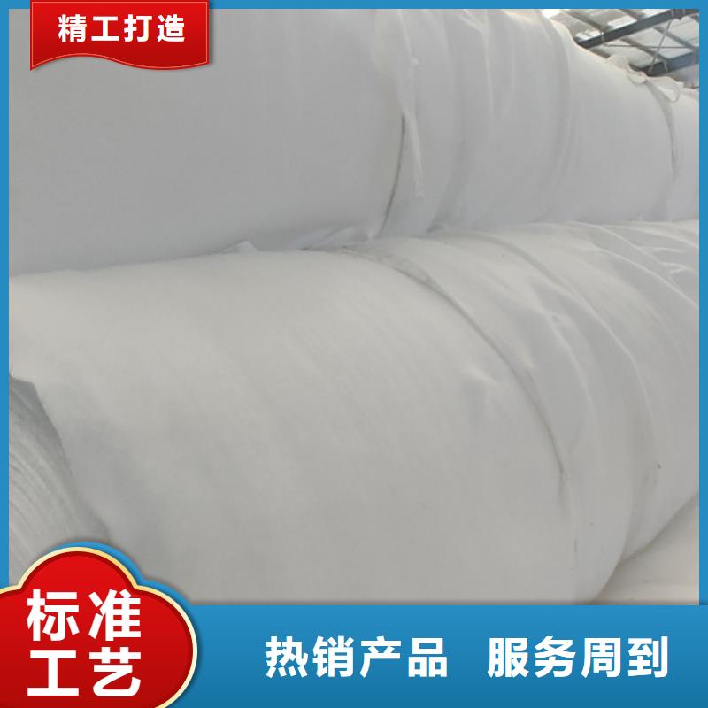 土工布土工格室品質過硬同城經銷商