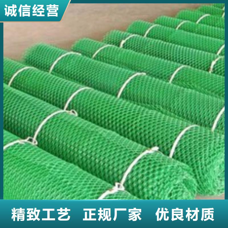 三維植被網【pp焊接土工格柵】品質不將就實時報價