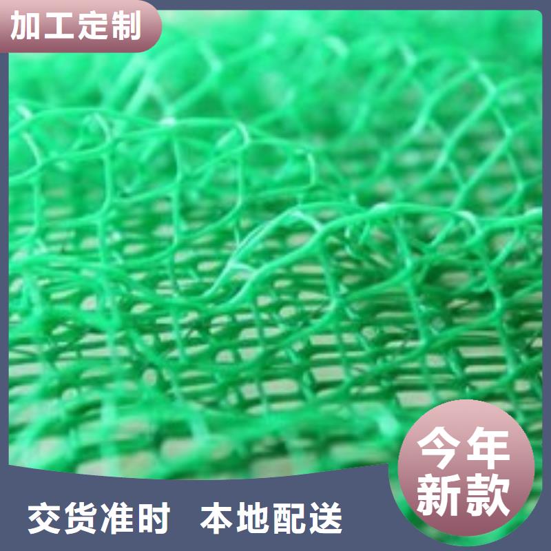 三維植被網-HDPE土工膜批發貨源當地服務商
