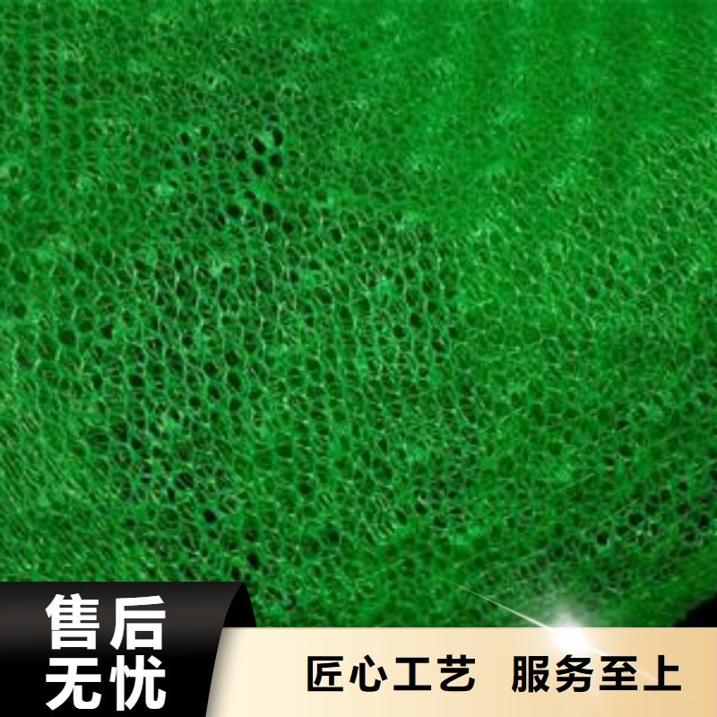 三維植被網(wǎng)護(hù)坡土工網(wǎng)支持大小批量采購使用方法