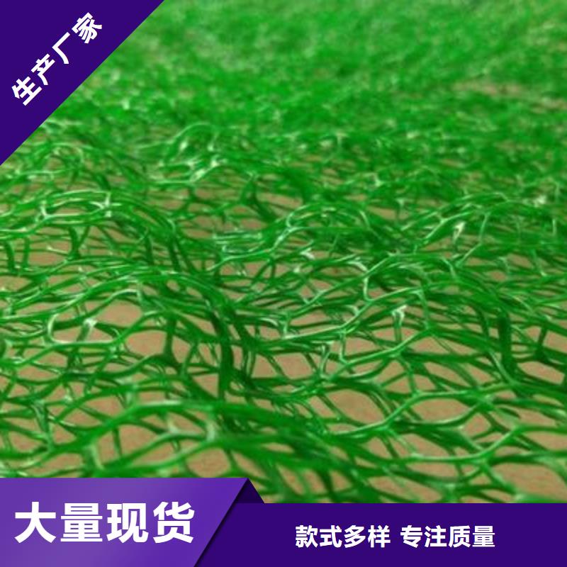 三維植被網雙向塑料格柵廠家直銷值得選擇來圖來樣定制