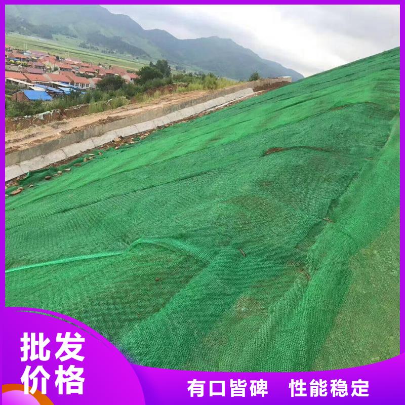 三維植被網保溫土工布現貨充裕本地公司