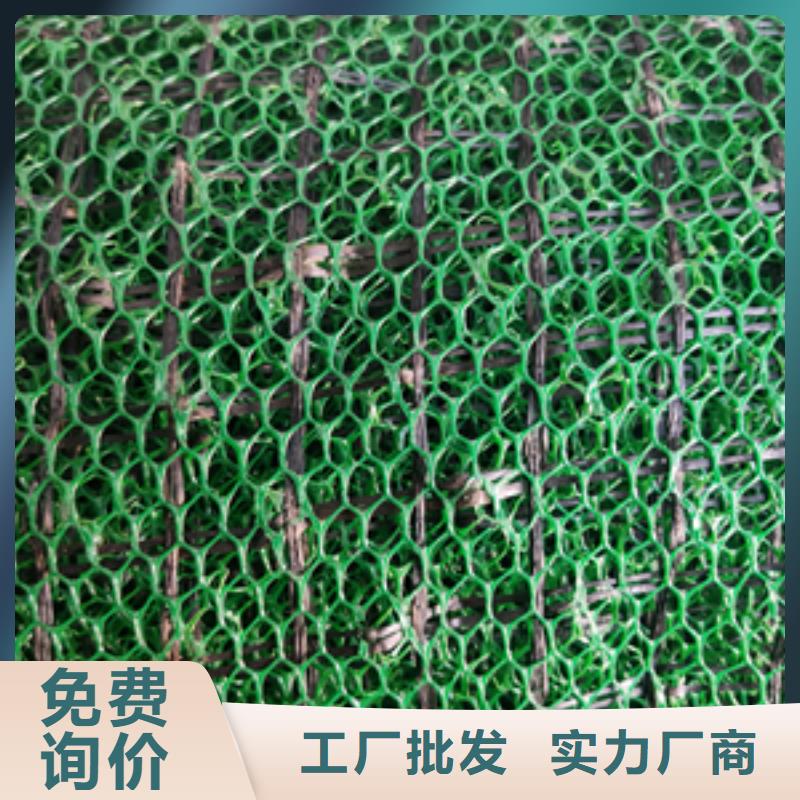 三維植被網雙向塑料格柵真材實料誠信經營可定制