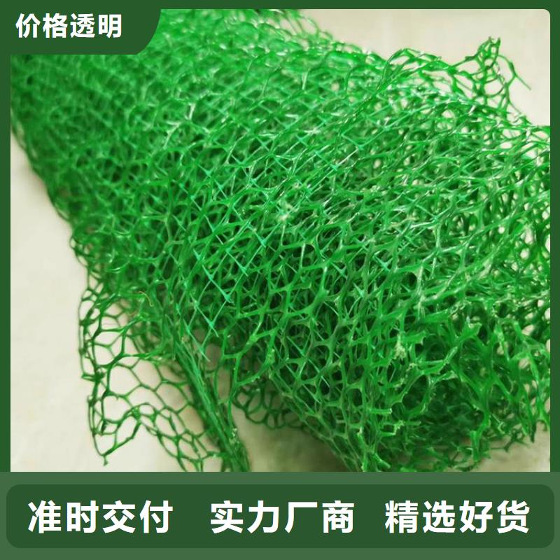三維植被網(wǎng)【土工席墊】一站式采購本地經(jīng)銷商