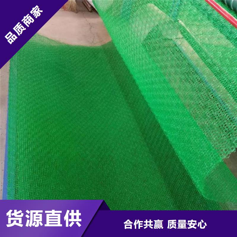 三維植被網防水土工布實力優品同城品牌