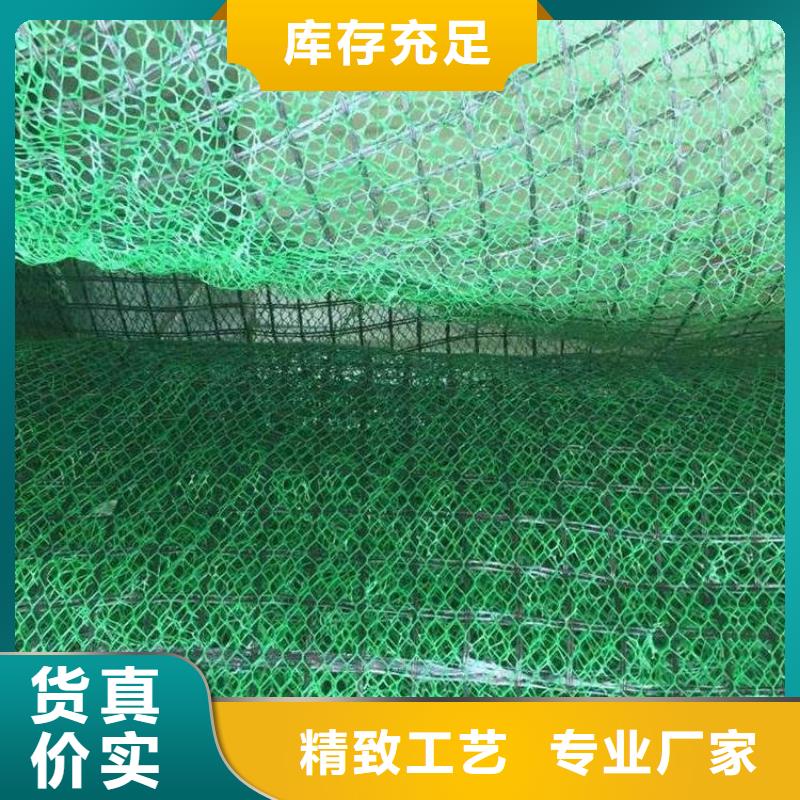 三維植被網短絲土工布庫存充足當地服務商