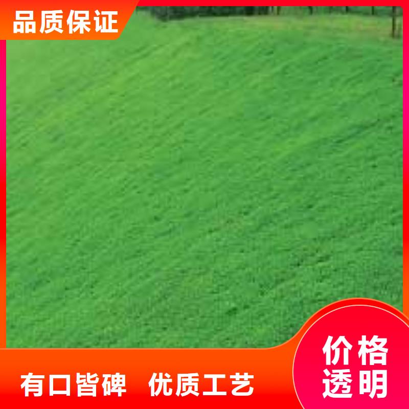 三維植被網滌綸土工格柵今日新品誠信經營質量保證