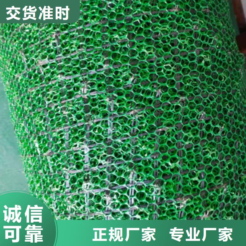 三維植被網_HDPE黑色土工膜來圖加工定制貨源直供