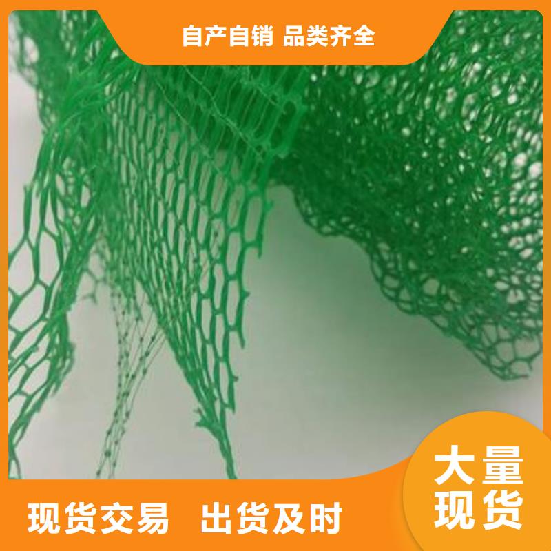 三維植被網凸結點鋼塑土工格柵追求細節品質本地供應商