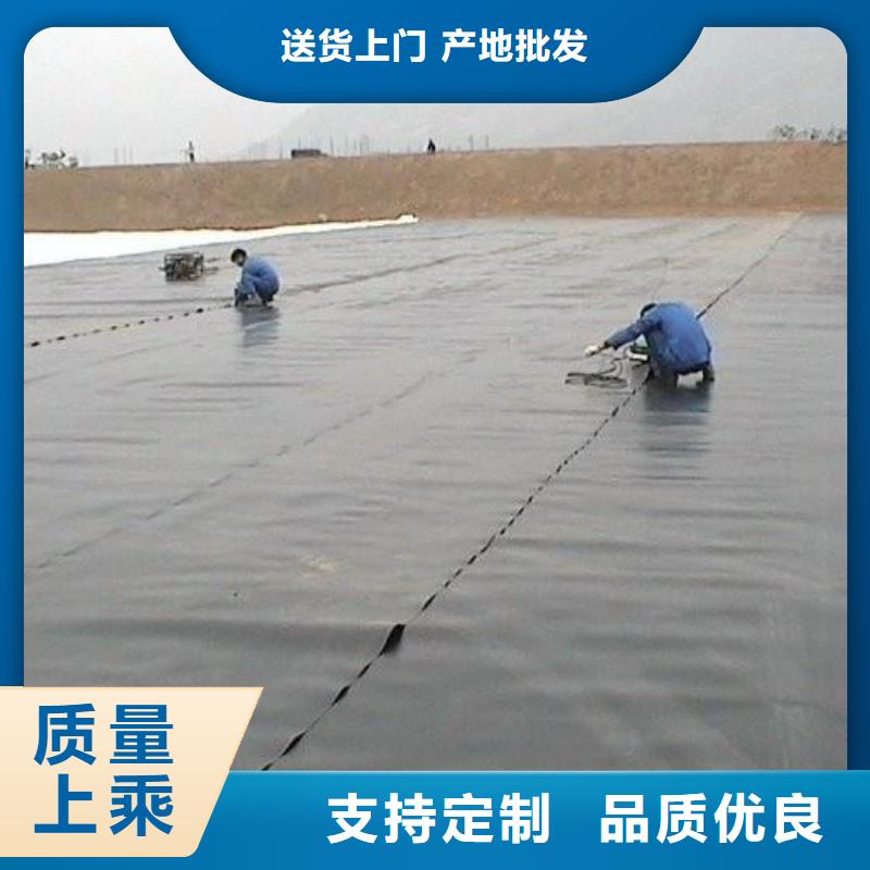 土工膜-單向塑料格柵源頭廠家來圖定制老品牌廠家