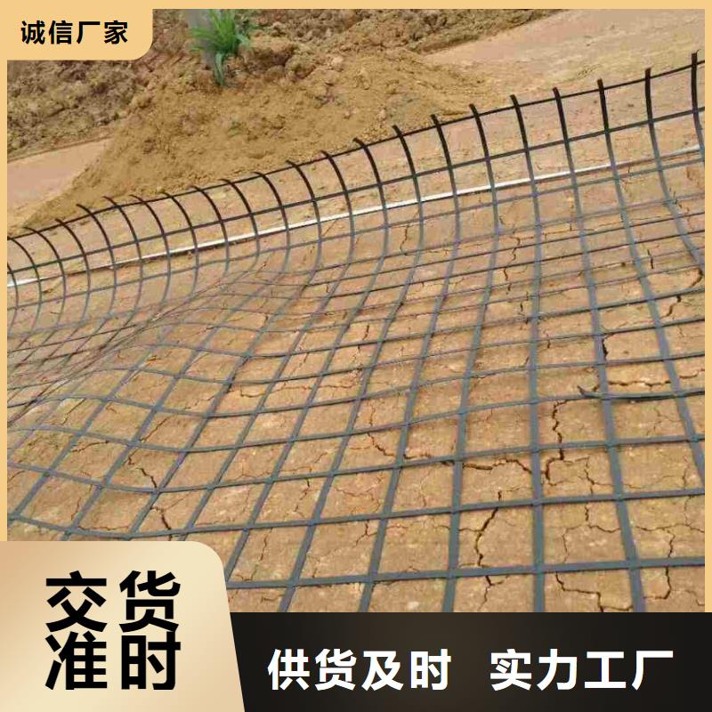 【鋼塑土工格柵】_水土保護毯豐富的行業經驗當地品牌