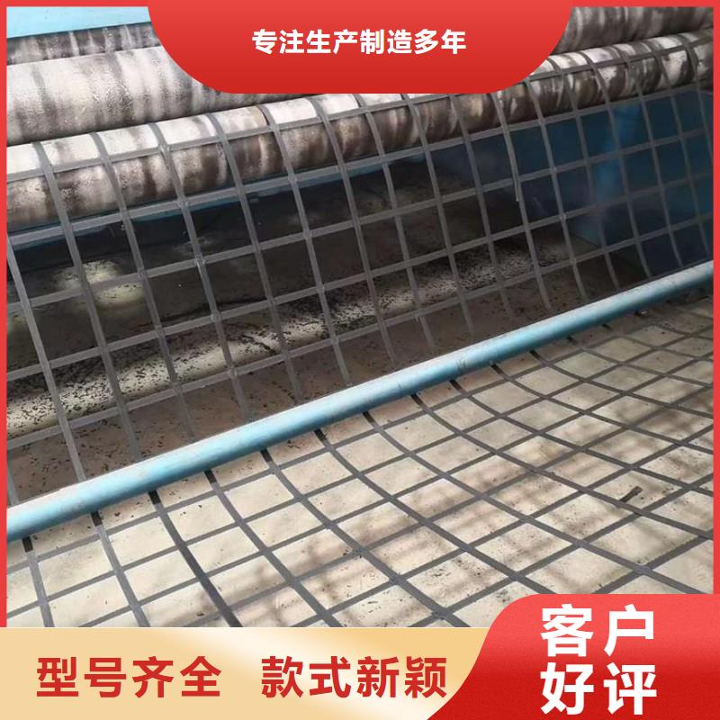 鋼塑土工格柵,護坡土工網一手價格產品細節