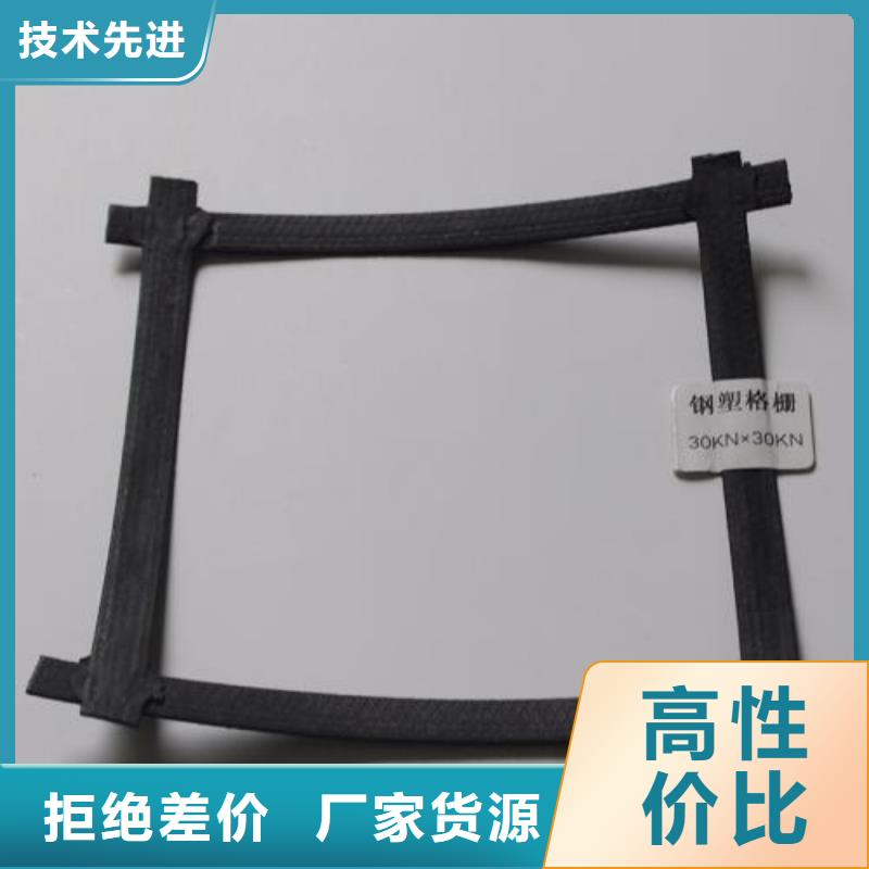 鋼塑土工格柵_土工席墊工廠直供來圖來樣定制