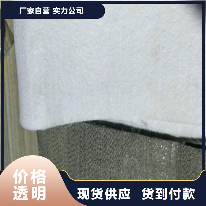 【土工布復合土工膜拒絕差價】售后無憂