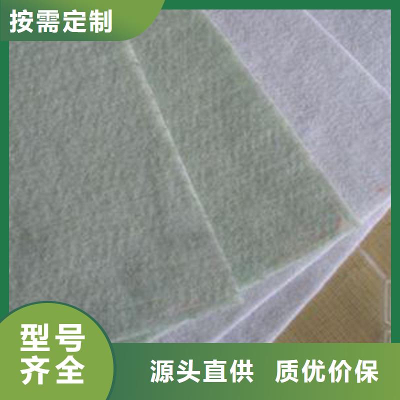 【土工布】鋼塑土工格柵用的放心同城公司