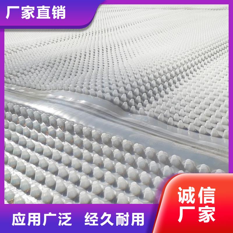 【蓄排水板,復合土工膜一站式廠家】出廠價