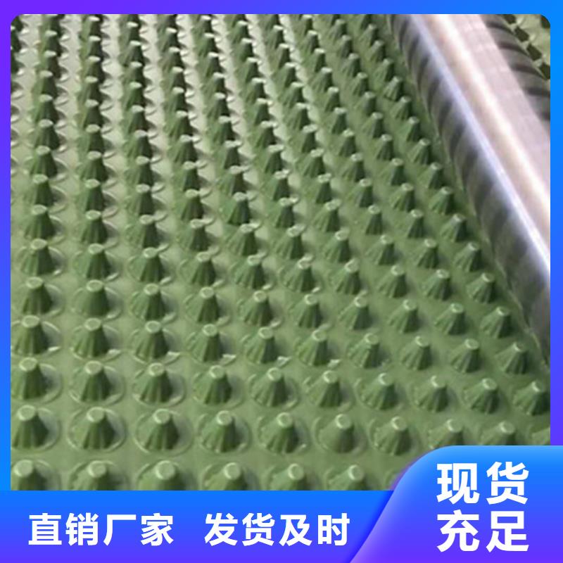 蓄排水板【單向塑料土工格柵】源頭廠家量大價優(yōu)安裝簡單