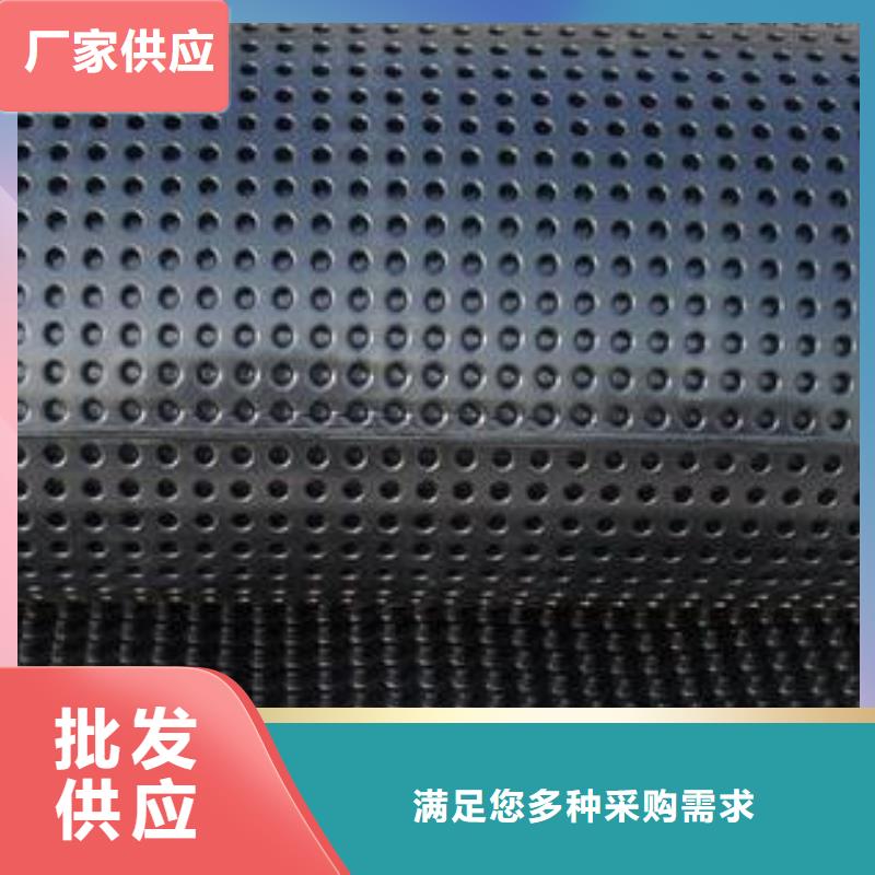 【蓄排水板】復合土工膜廠家直銷規格多樣生產廠家