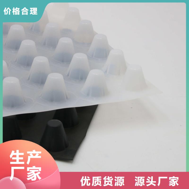 蓄排水板三維復合排水網誠信經營誠信經營