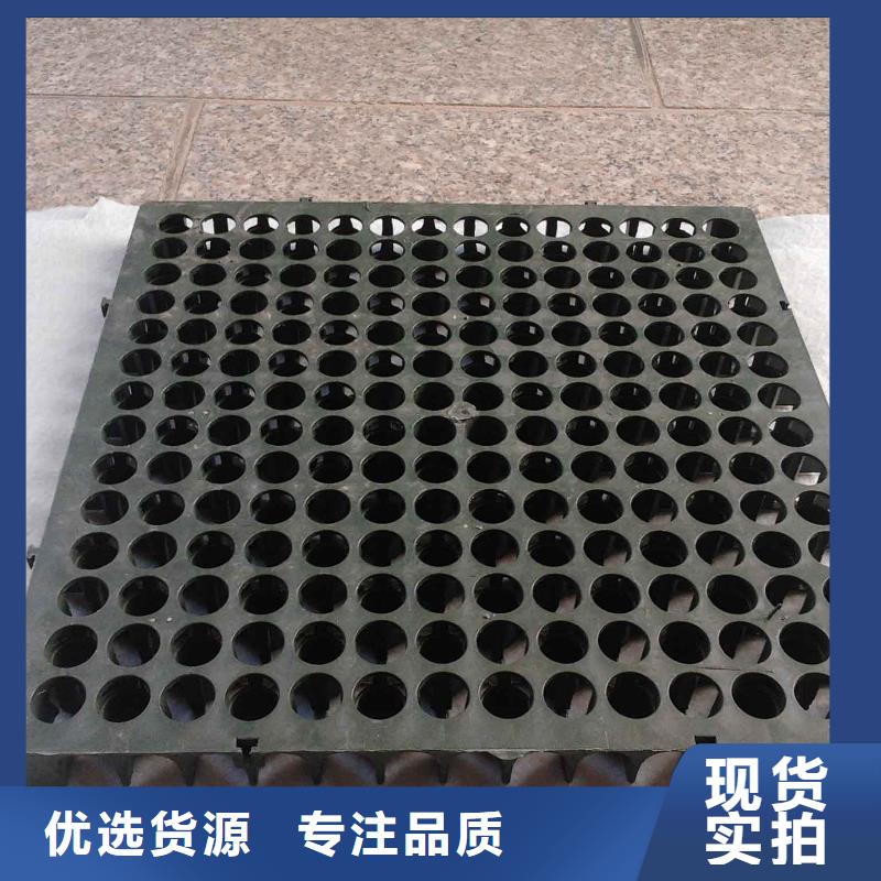 蓄排水板土工格室免費獲取報價適用場景