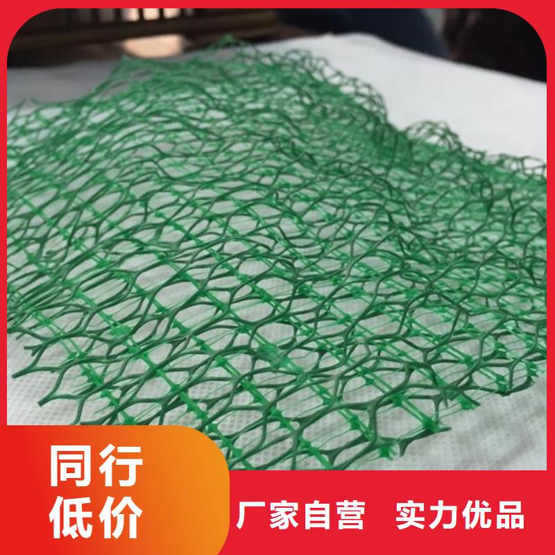 三維植被網土工格室優良材質品質做服務