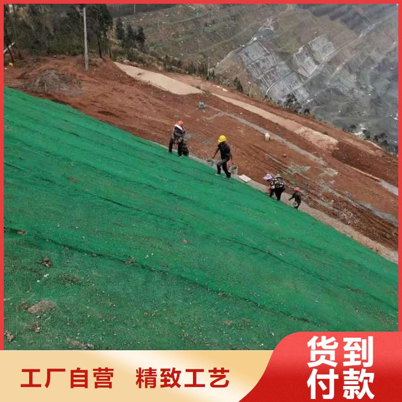 【三維植被網】玻纖土工格柵極速發貨產品優勢特點