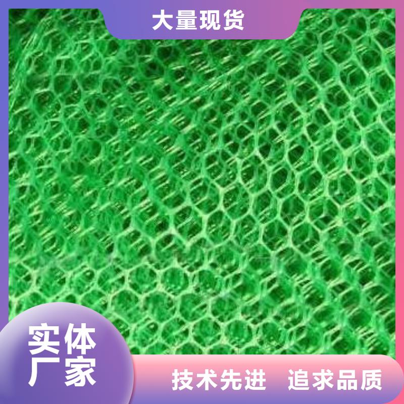 三維植被網三維土工網墊注重細節快捷的物流配送