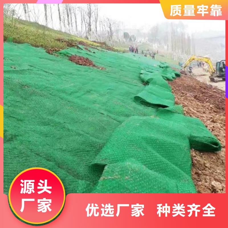 三維植被網-鋼塑土工格柵現貨銷售為品質而生產