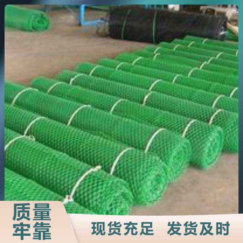 三維植被網(wǎng)-單向塑料土工格柵質(zhì)量不佳盡管來找我制造廠家