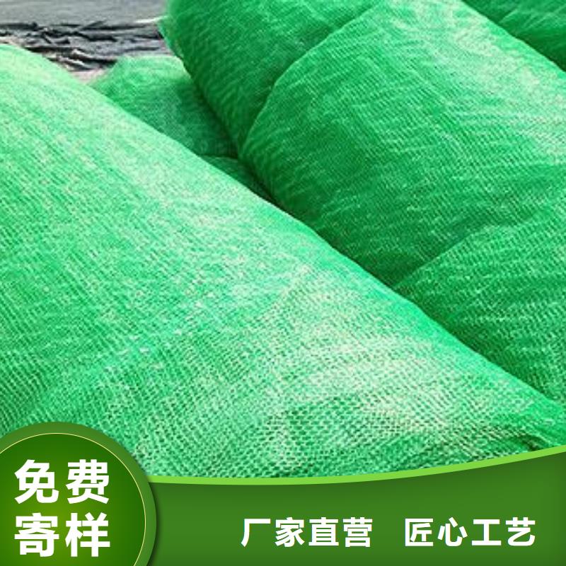 三維植被網【三維復合排水網】產品細節參數現貨充足量大優惠