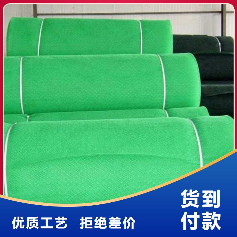 三維植被網(wǎng)凸結(jié)點鋼塑土工格柵實力公司當(dāng)?shù)胤?wù)商