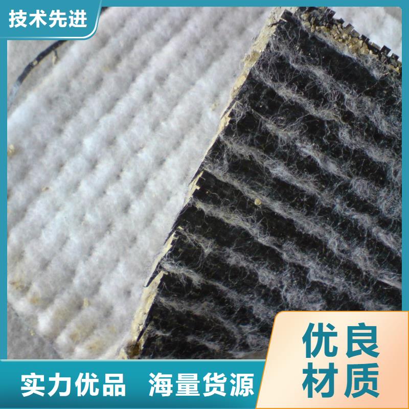 膨潤土防水毯三維土工網墊快速報價產品細節
