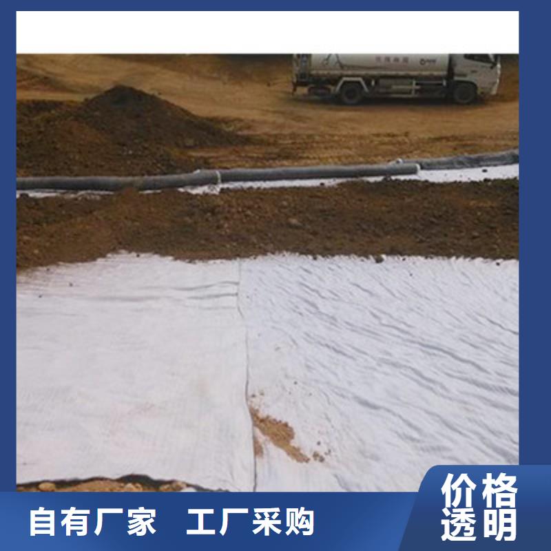 膨潤土防水毯玻纖土工格柵品質做服務快捷的物流配送