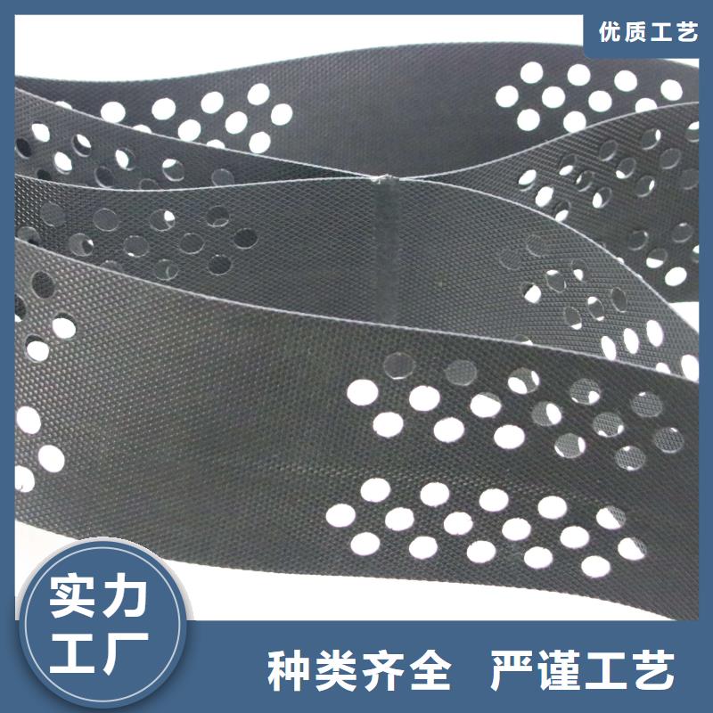 土工格室鋼塑土工格柵細節展示優質原料