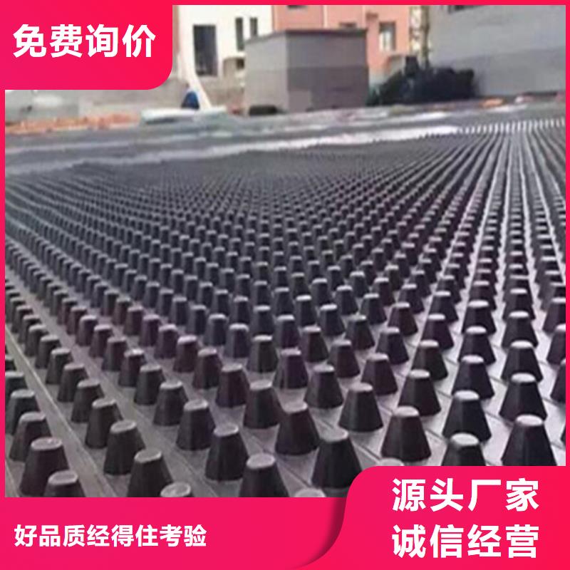 塑料排水板滌綸土工格柵質量優選實力大廠家