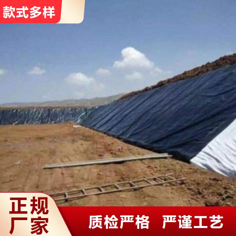 土工膜土工席墊價格合理當地公司